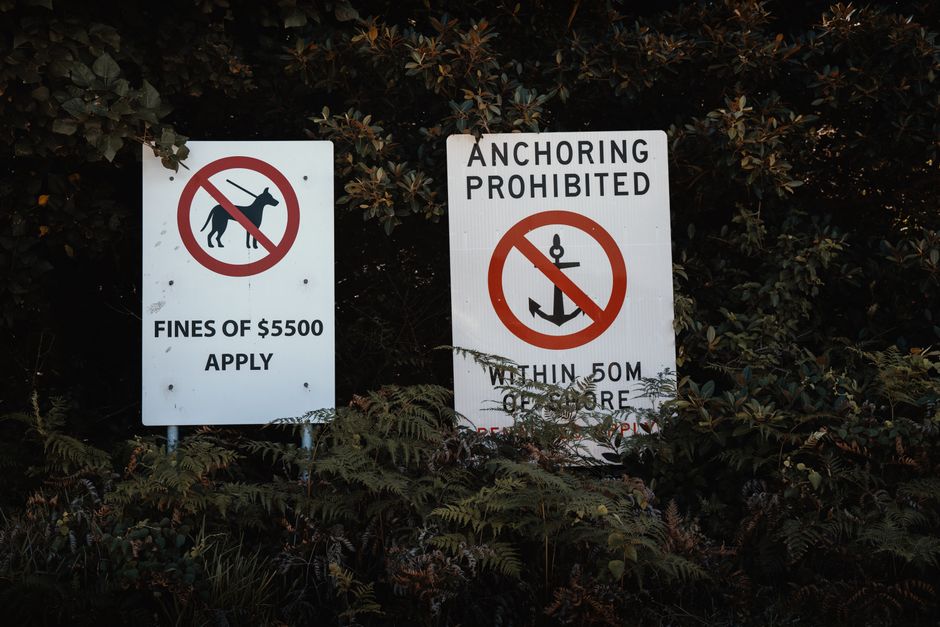 Warning signs in Sydney, Australia: No dogs allowed and anchoring prohibited within 50m.